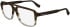 Karl Lagerfeld KL6156 glasses in Brown/Striped Brown