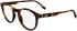 Lacoste L2950 glasses in Havana