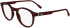 Lacoste L2950 glasses in Transparent Burgundy