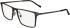 Zeiss ZS24144-56 glasses in Satin Brown
