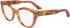 Calvin Klein CK23541 glasses in Caramel Havana
