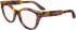 Calvin Klein CK23541 glasses in Rose Havana