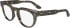 Calvin Klein CK23542 glasses in Brown Blue Havana