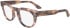 Calvin Klein CK23542 glasses in Nude Havana