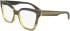 Calvin Klein CK23543 glasses in Striped Khaki