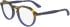 Calvin Klein CK23546 glasses in Havana/Blue