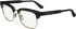 Calvin Klein CK24103 glasses in Black