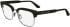 Calvin Klein CK24103 glasses in Green