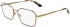 Calvin Klein CK24104 glasses in Amber Gold/Black