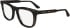 Calvin Klein CK24515 glasses in Havana