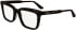 Calvin Klein CK24516 glasses in Brown Havana