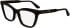 Calvin Klein CK24517 glasses in Havana Brown