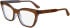 Calvin Klein CK24517 glasses in Brown/Azure