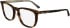 Calvin Klein CK24519 glasses in Havana