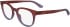 Calvin Klein CK24522-50 glasses in Gradient Wine