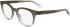 Calvin Klein CK24522-52 glasses in Gradient Grey