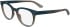 Calvin Klein CK24522-52 glasses in Blue/Brown