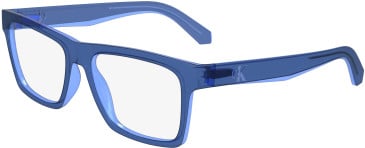 Calvin Klein Jeans CKJ24617 glasses in Blue