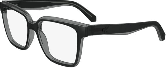 Calvin Klein Jeans CKJ24619 glasses in Grey