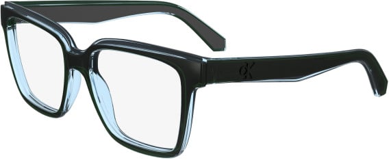 Calvin Klein Jeans CKJ24619 glasses in Green