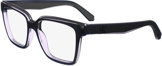 Calvin Klein Jeans CKJ24619 glasses in Blue