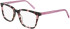 DKNY DK5060 glasses in Blush Tortoise