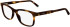 Lacoste L2945 glasses in Havana