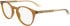 Calvin Klein CK23549 glasses in Sand