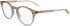 Calvin Klein CK23549 glasses in Khaki/Azure