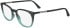 Calvin Klein CK24513-54 glasses in Grey/Azure