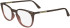 Calvin Klein CK24513-54 glasses in Brown/Rose