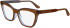 Calvin Klein CK24517 glasses in Brown/Azure