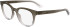 Calvin Klein CK24522-50 glasses in Gradient Grey