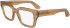 Calvin Klein CK24526 glasses in Light Brown