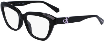 Calvin Klein Jeans CKJ23644 glasses in Black