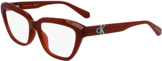 Calvin Klein Jeans CKJ23644 glasses in Brown