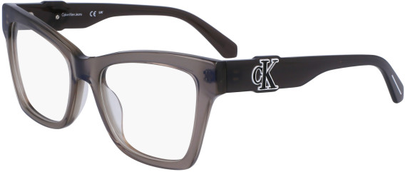 Calvin Klein Jeans CKJ23646 glasses in Grey