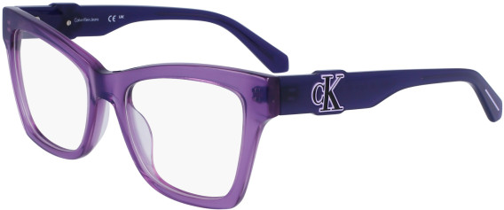 Calvin Klein Jeans CKJ23646 glasses in Purple