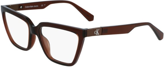 Calvin Klein Jeans CKJ23648 glasses in Brown