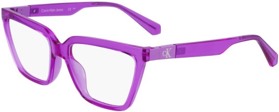Calvin Klein Jeans CKJ23648 glasses in Lilac