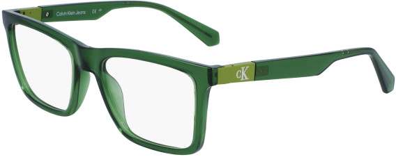 Calvin Klein Jeans CKJ23649 glasses in Green