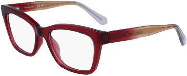 Calvin Klein Jeans CKJ23650 glasses in Burgundy