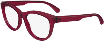 Calvin Klein Jeans CKJ24611 glasses in Cherry