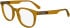 Calvin Klein Jeans CKJ24613 glasses in Caramel