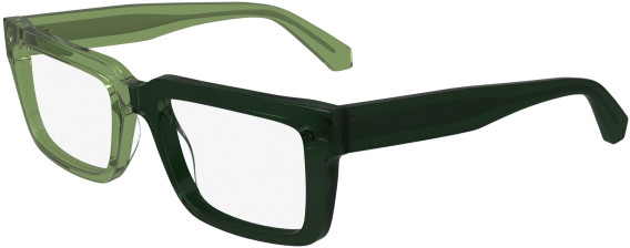 Calvin Klein Jeans CKJ24616 glasses in Green/Dark Green