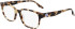 Converse CV5097 glasses in Tokyo Tortoise