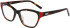 DKNY DK5057 glasses in Dark Tortoise/Red