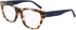 DKNY DK5063 glasses in Bone/Ink Tortoise