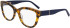DKNY DK5064 glasses in Whiskey Tortoise