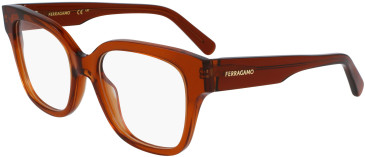 FERRAGAMO SF2952N glasses in Transparent Caramel